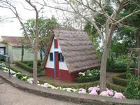 Botanische Garten 