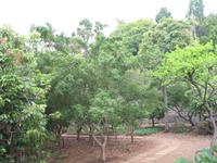 Botanische Garten 