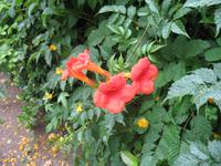 Botanische Garten 