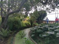 Botanischer Garten in Funchal