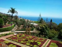 Botanischer Garten