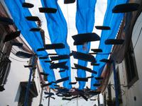 Câmara de Lobos