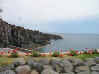 Câmara de Lobos