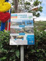 Câmara de Lobos