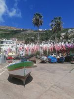 Camara de Lobos