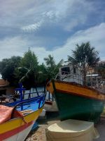 Camara de Lobos