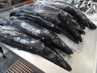 Degenfisch = Espada in der Markthalle