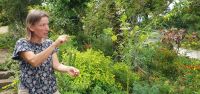 Esmeralda in ihrem KRÄUTERGARTEN