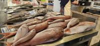 Fischhalle Funchal