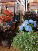 Funchal Markthalle
