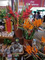 Funchal Markthalle
