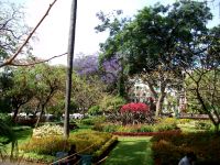 Funchal