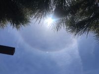 Halo 