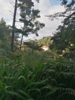 IMG 20210914 095017