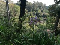 IMG 20210914 100801