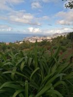 IMG 20210914 102633