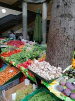IMG_20200911_095335
