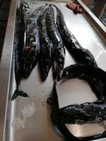 IMG_20200911_095549