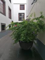 IMG_20200911_103925