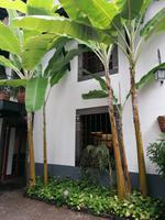 IMG_20200911_104213