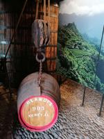 IMG_20200911_104755