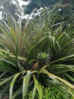 IMG_20200911_120551