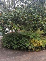 IMG_20200911_120633