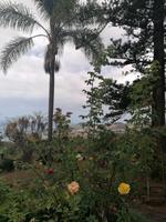 IMG_20200911_120825