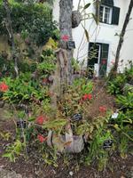 IMG_20200911_120940