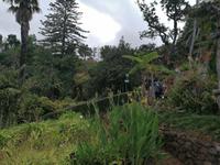 IMG_20200911_121119