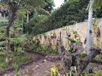 IMG_20200911_121157