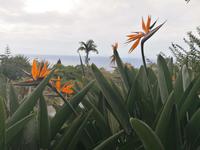 IMG_20200911_121853