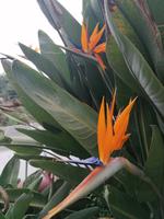 IMG_20200911_122007
