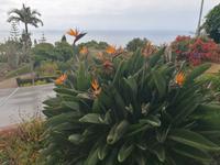 IMG_20200911_122055