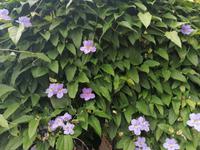IMG_20200911_122258