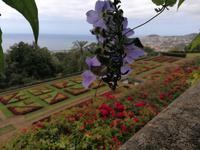 IMG_20200911_122318