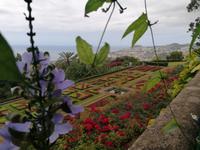 IMG_20200911_122324