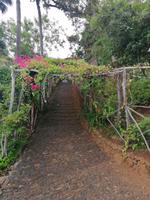 IMG_20200911_122622