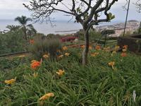 IMG_20200911_122628