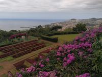 IMG_20200911_122738