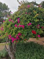 IMG_20200911_122925