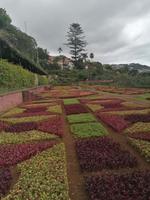 IMG_20200911_132947