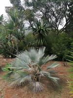IMG_20200911_134455
