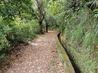 IMG_20200912_112955
