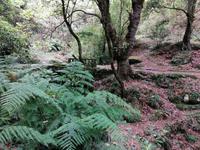 IMG_20200912_113357