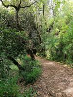 IMG_20200912_113810