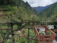 IMG_20200912_114714