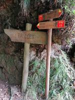 IMG_20200912_115503