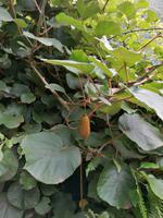 IMG_20200912_122043