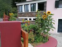 IMG_20200912_132900